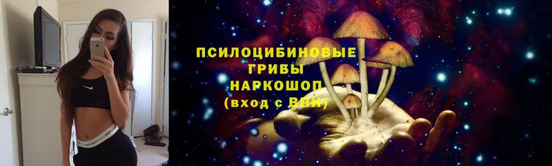 ссылка на мегу сайт  Углегорск  Галлюциногенные грибы Magic Shrooms 